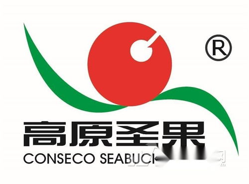 高原圣果沙棘制品 同顺广告传媒，让健康与品牌同频共振